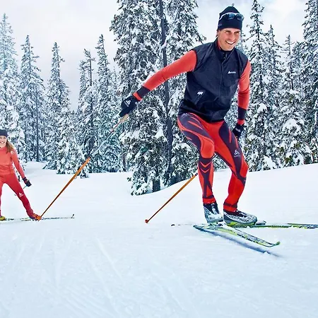Hansalgut 아파트 Hintergöriach