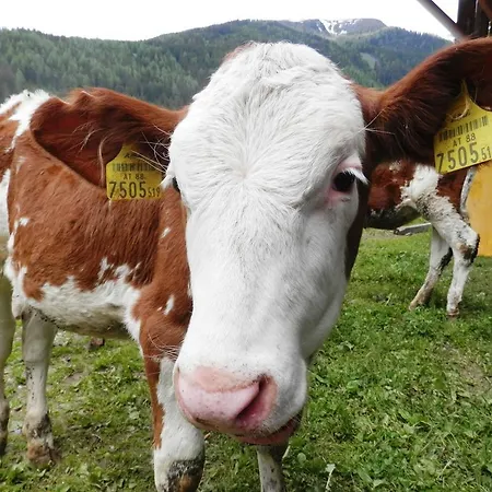 Hansalgut 아파트 Hintergöriach