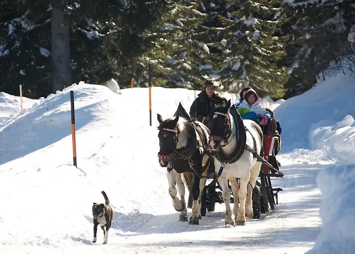 Hansalgut شقة